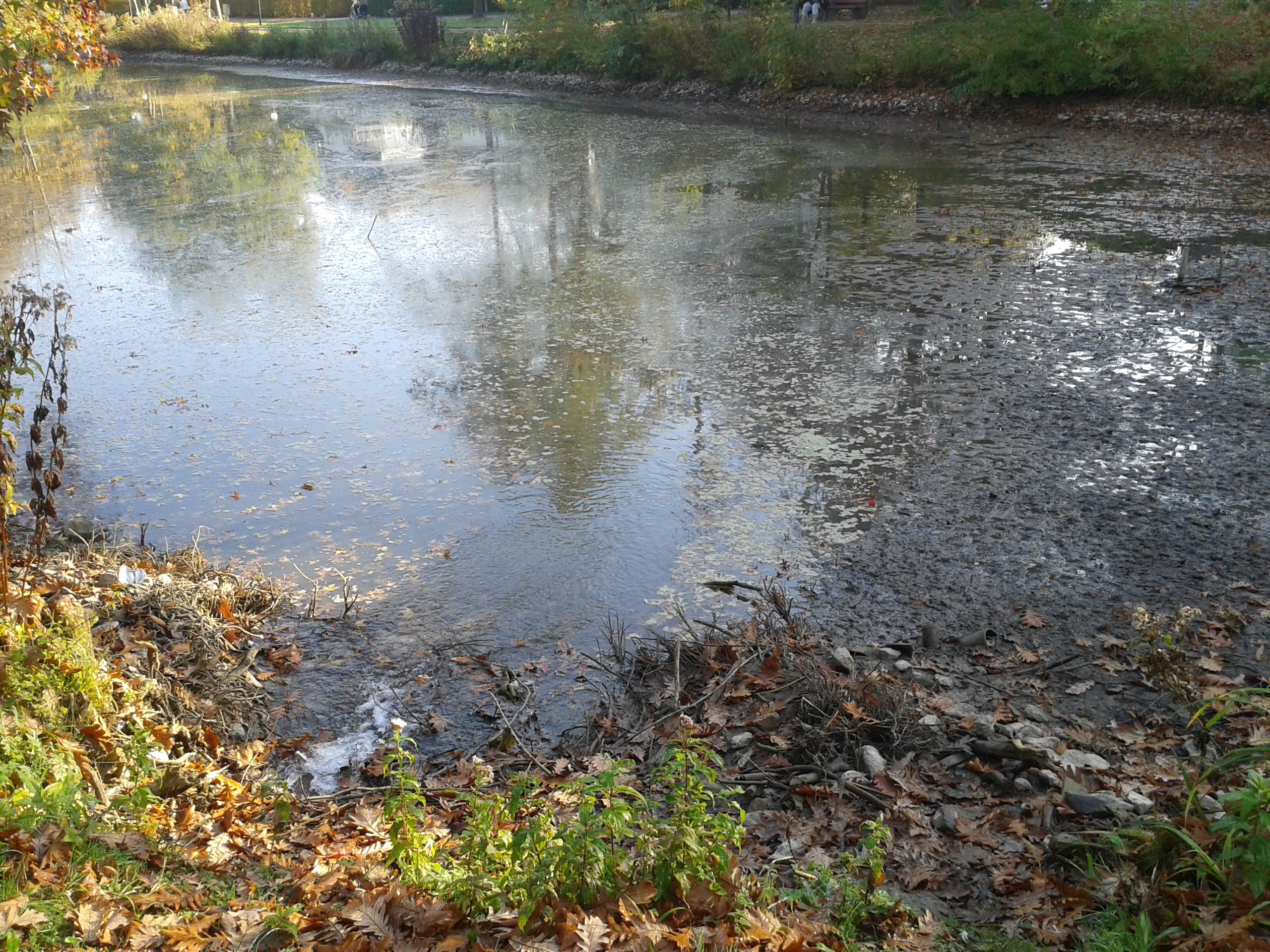 Vorschau: 